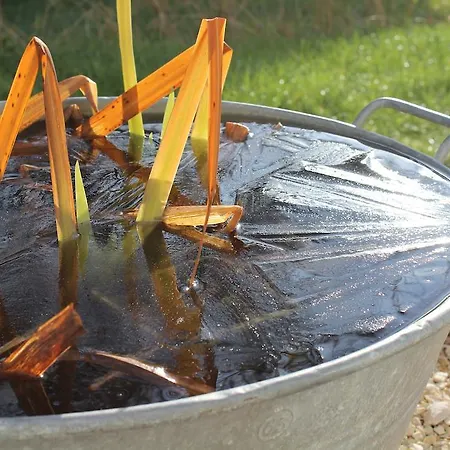 فندق مبيت وإفطار Carpe Diem - - D'hotes Péry