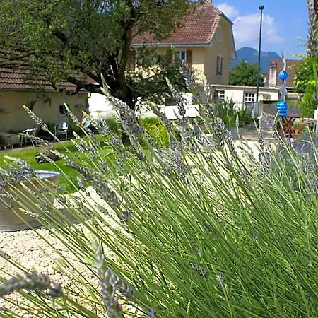 Carpe Diem - Bnb - Chambres D'hotes * Pery