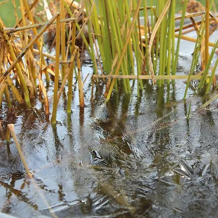 Oda ve Kahvaltı Carpe Diem - - D'hotes Péry