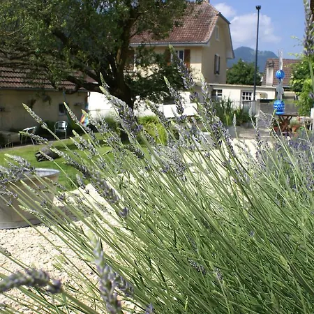 Carpe Diem - - D'hotes Bed & Breakfast