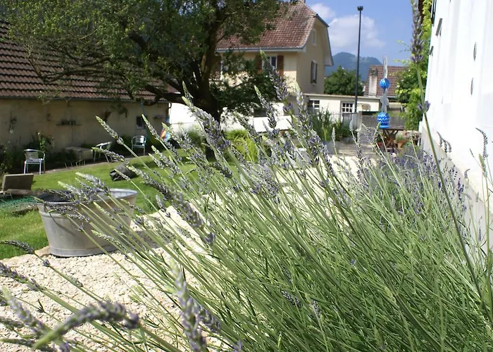 Carpe Diem - - D'hotes Bed & Breakfast